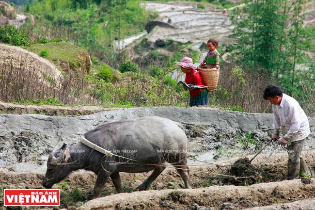 伊迪色彩 ảnh 10 伊迪色彩 ảnh 10