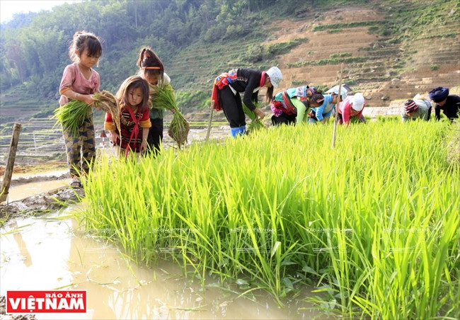 伊迪色彩 ảnh 15 伊迪色彩 ảnh 15