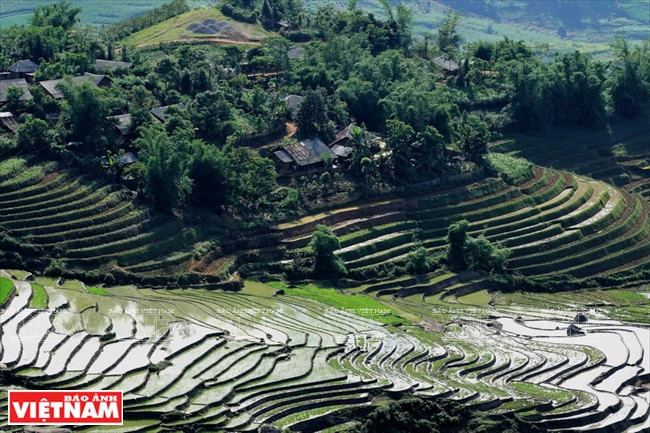 伊迪色彩 ảnh 6 伊迪色彩 ảnh 6