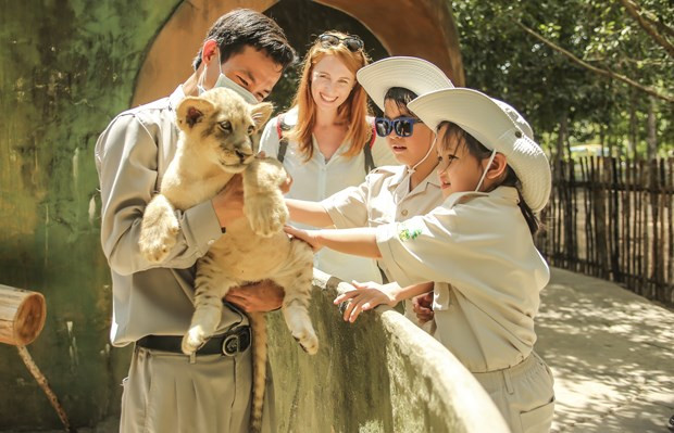 越南开放旅游:为旅游业可持续复苏扫清障碍 ảnh 2 越南开放旅游:为旅游业可持续复苏扫清障碍 ảnh 2