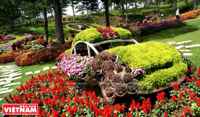 大叻高原睡美人的爱情山谷 ảnh 10 大叻高原睡美人的爱情山谷 ảnh 10