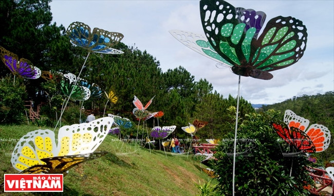 大叻高原睡美人的爱情山谷 ảnh 2 大叻高原睡美人的爱情山谷 ảnh 2