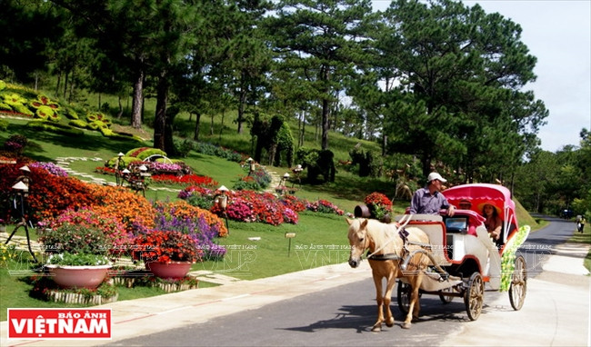 大叻高原睡美人的爱情山谷 ảnh 5 大叻高原睡美人的爱情山谷 ảnh 5