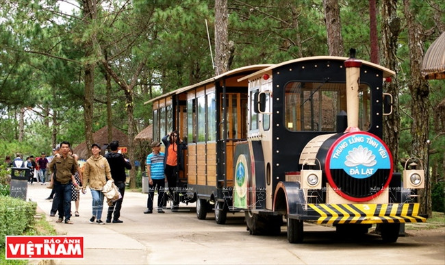 大叻高原睡美人的爱情山谷 ảnh 6 大叻高原睡美人的爱情山谷 ảnh 6