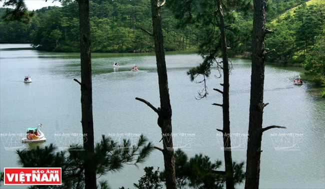 大叻高原睡美人的爱情山谷 ảnh 3 大叻高原睡美人的爱情山谷 ảnh 3