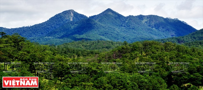 大叻高原睡美人的爱情山谷 ảnh 11 大叻高原睡美人的爱情山谷 ảnh 11