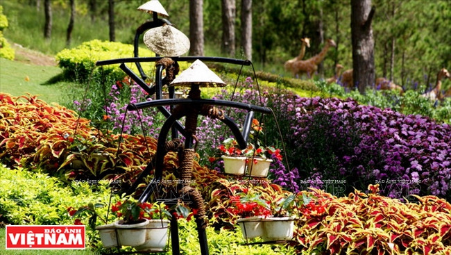 大叻高原睡美人的爱情山谷 ảnh 9 大叻高原睡美人的爱情山谷 ảnh 9