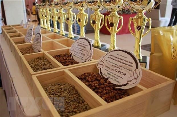 越南咖啡出口有望在2021年见起色 ảnh 2 越南咖啡出口有望在2021年见起色 ảnh 2