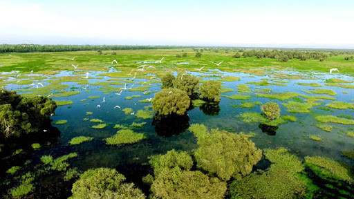  维护芹椰生物圈保护区成为胡志明市的当务之急 ảnh 2