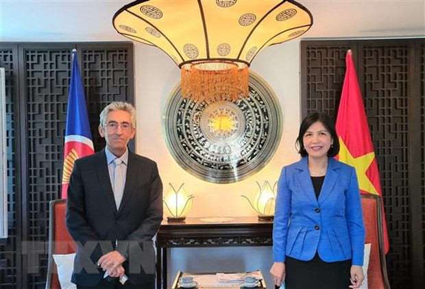 越南与南方中心促进合作 ảnh 1 越南与南方中心促进合作 ảnh 1