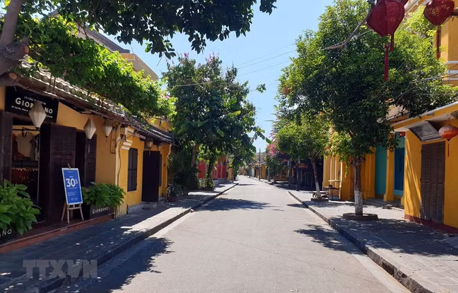 受新冠肺炎疫情的影响广南省过夜游客人数下降67% ảnh 1