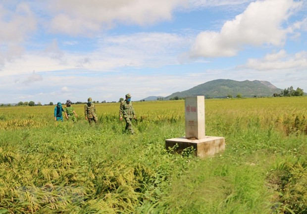 越南安江省严防严控境外基孔肯雅热疫情输入 ảnh 1 越南安江省严防严控境外基孔肯雅热疫情输入 ảnh 1