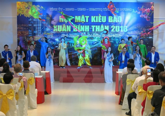 切实做好海外侨务工作 ảnh 1