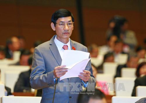 国会代表认为需加强国家机关行政改革和纪律纪纲 ảnh 2