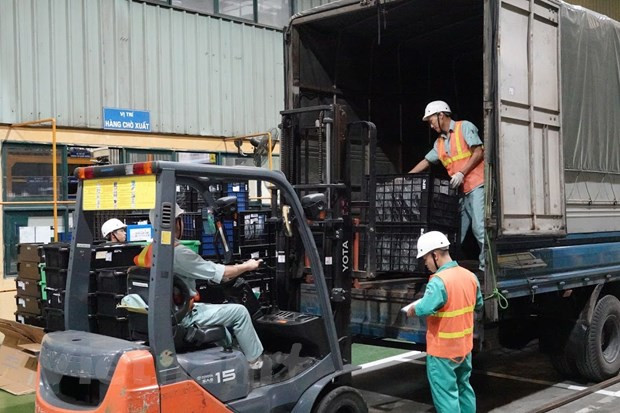越南多措并举助力企业摆脱出口困境 ảnh 1