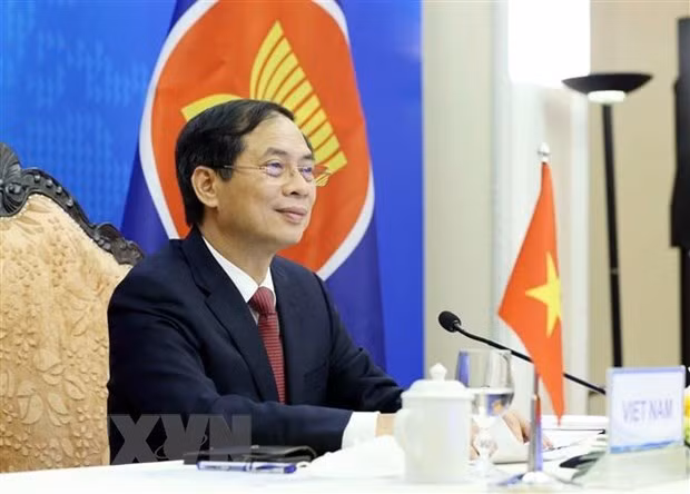 东南亚无核武器区条约委员会会议召开 ảnh 1