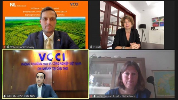 努力打造荷兰与越南之间可持续经营平台 ảnh 2