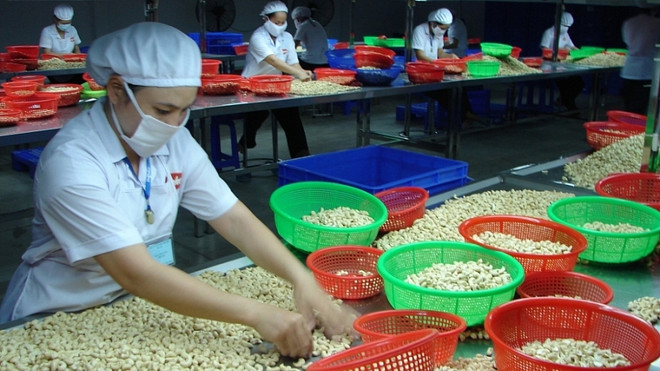 对英国出口农产品:尽快抓住UKVFTA带来的机遇,扩大市场份额 ảnh 1 对英国出口农产品:尽快抓住UKVFTA带来的机遇,扩大市场份额 ảnh 1