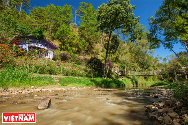 林魔客栈 ảnh 10 林魔客栈 ảnh 10