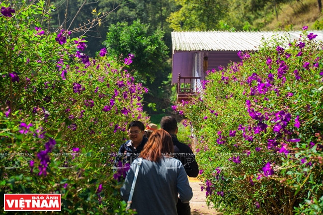 林魔客栈 ảnh 3 林魔客栈 ảnh 3