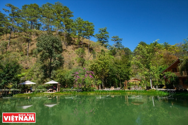 林魔客栈 ảnh 11 林魔客栈 ảnh 11