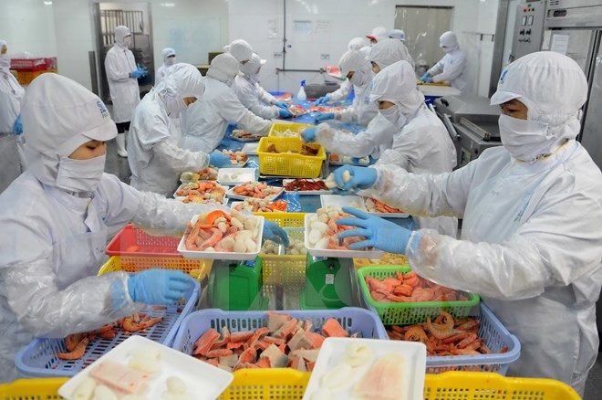 进口自越南虾类占韩国虾类进口量50% ảnh 1