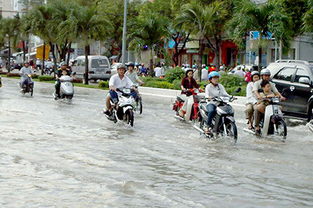世行将援助芹苴市兴建城市环境卫生与内涝预防中心 ảnh 1 世行将援助芹苴市兴建城市环境卫生与内涝预防中心 ảnh 1