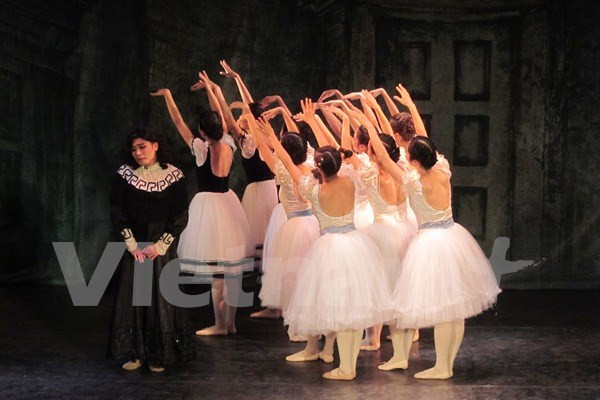 世界著名芭蕾舞演员将聚集河内 ảnh 1