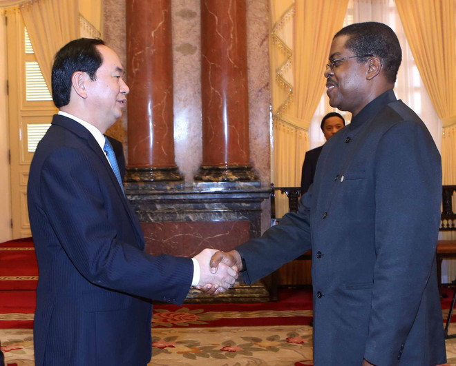 越南国家主席陈大光会见前来递交国书的各国新任驻越大使 ảnh 4 越南国家主席陈大光会见前来递交国书的各国新任驻越大使 ảnh 4