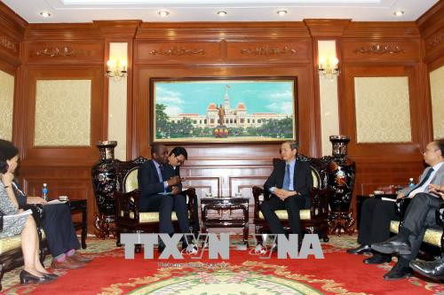 胡志明市希望加强与法语国家国际组织的合作 ảnh 1