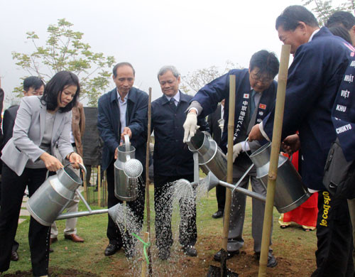 北宁省举行樱花园捐赠暨植树仪式 ảnh 1 北宁省举行樱花园捐赠暨植树仪式 ảnh 1