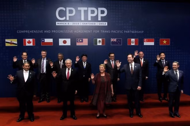 越南驻智利大使：CPTPP将为越智经贸与投资合作注入强劲动力 ảnh 1