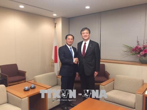 外交部副部长裴青山会见日本外务副大臣政务官堀井岩 ảnh 2 外交部副部长裴青山会见日本外务副大臣政务官堀井岩 ảnh 2