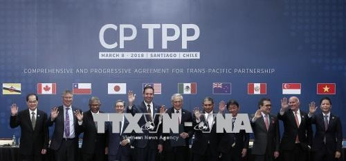 世行:CPTPP将为越南带来巨大的经济利益 ảnh 1 世行:CPTPP将为越南带来巨大的经济利益 ảnh 1