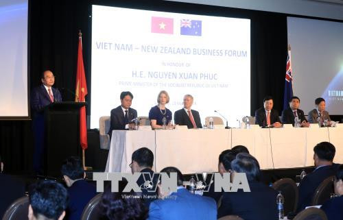 阮春福出席越南—新西兰企业论坛 ảnh 1 阮春福出席越南—新西兰企业论坛 ảnh 1