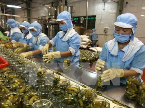 美国彼得森国际经济研究所:至2030年CPTPP将为越南国内生产总值增长率贡献2% ảnh 1 美国彼得森国际经济研究所:至2030年CPTPP将为越南国内生产总值增长率贡献2% ảnh 1