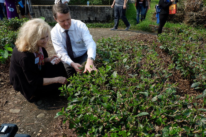 2018年 “友好春游”活动有助于增进国际代表与太原省人民的友谊 ảnh 2 2018年 “友好春游”活动有助于增进国际代表与太原省人民的友谊 ảnh 2