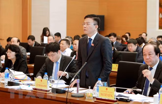 国会常委会第22次会议：司法部部长黎成龙接受质询 ảnh 1