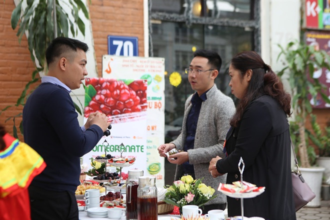 秘鲁葡萄周在河内开幕 ảnh 2 秘鲁葡萄周在河内开幕 ảnh 2