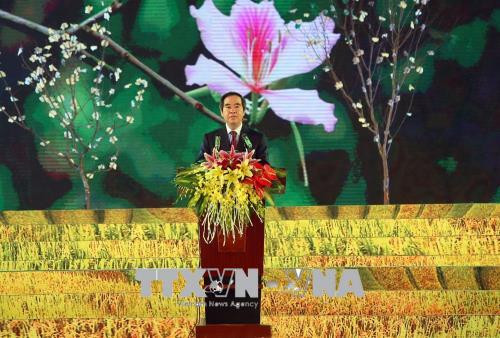 2018年奠边省羊蹄甲花节有助于弘扬传统文化 ảnh 2 2018年奠边省羊蹄甲花节有助于弘扬传统文化 ảnh 2