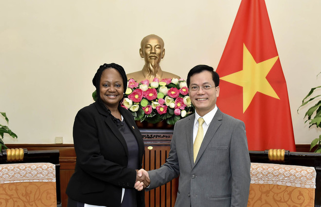 越南与美国推动全面伙伴关系走向深入、高效、务实发展 ảnh 1 越南与美国推动全面伙伴关系走向深入、高效、务实发展 ảnh 1