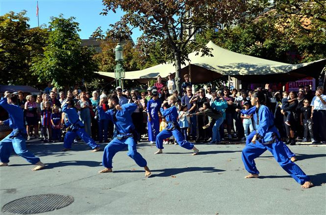 越南国庆77周年:越南文化日在瑞士卢塞恩举行 ảnh 1 越南国庆77周年:越南文化日在瑞士卢塞恩举行 ảnh 1