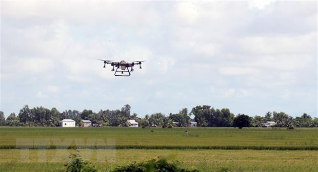 越南与荷兰合作推进九龙江三角洲地区的农业可持续转型 ảnh 1