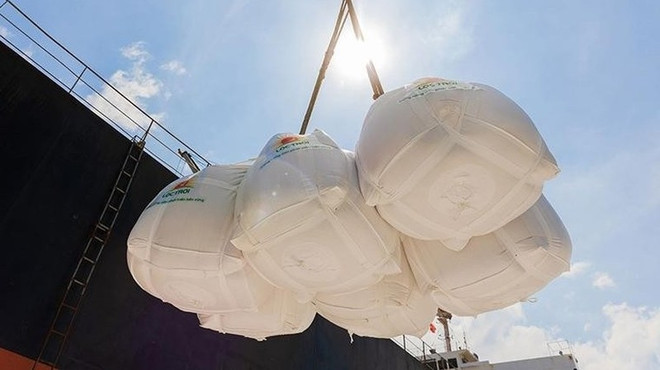 让越南农产品站稳欧盟市场 ảnh 1