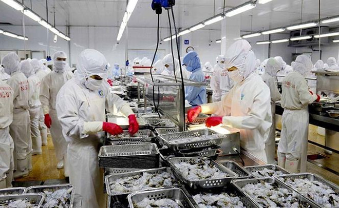 金瓯省重建和发展的25年里程碑：各个领域均取得长足的进展 ảnh 4