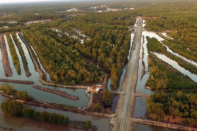金瓯省重建和发展的25年里程碑：各个领域均取得长足的进展 ảnh 3