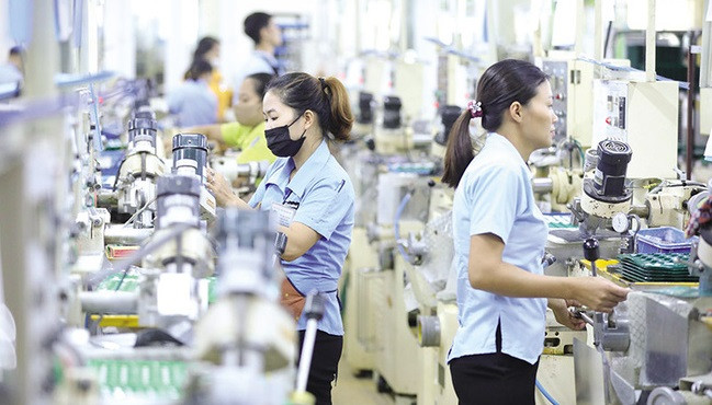 多家韩国企业希望对河内市场进行投资 ảnh 2