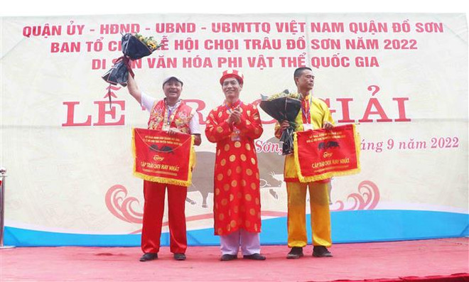 海防市涂山传统斗牛节:庞拉坊的第08号水牛获得一等奖 ảnh 2 海防市涂山传统斗牛节:庞拉坊的第08号水牛获得一等奖 ảnh 2