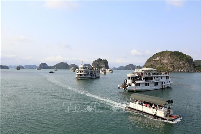 九·二国庆假期广宁、庆和和老街等省份接待大量游客 ảnh 1 九·二国庆假期广宁、庆和和老街等省份接待大量游客 ảnh 1