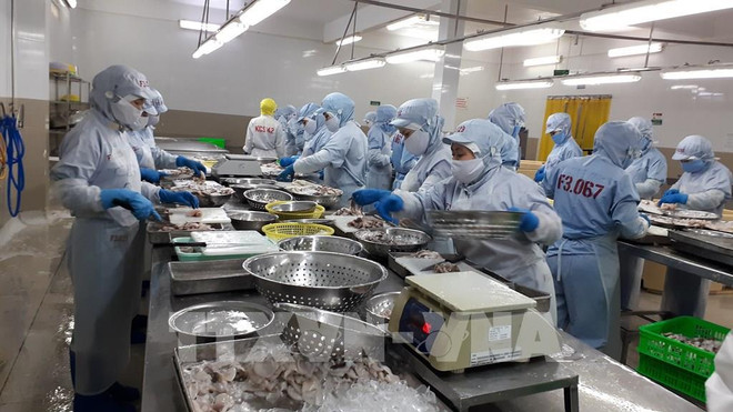 农业部门力争实现农林水产品出口500亿美元的目标 ảnh 2